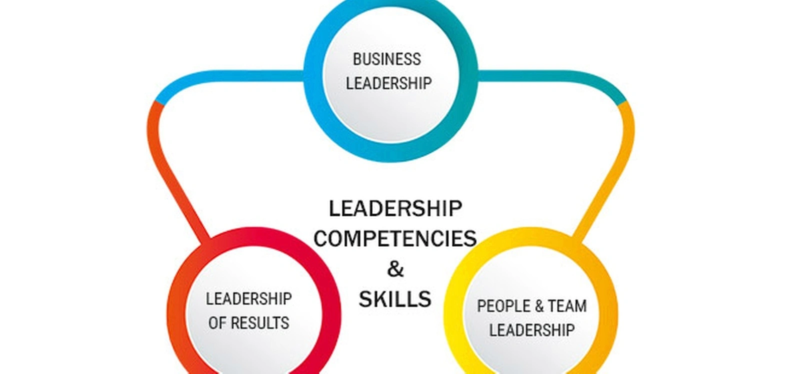 Business performance mastery
